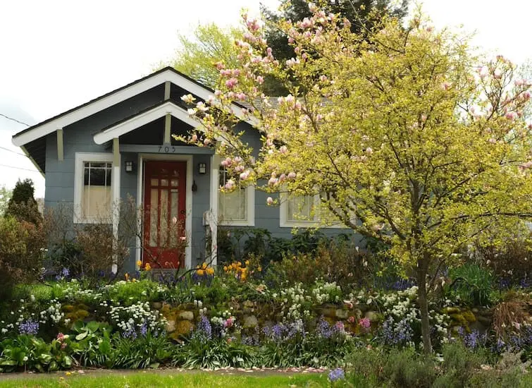 seattle home fall foundation protection blue house and tree